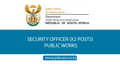SECURITY OFFICER (X2 POSTS) PUBLIC WORKS