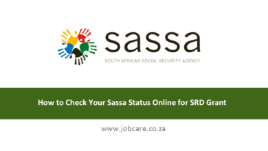How to Check Your Sassa Status Online for SRD Grant