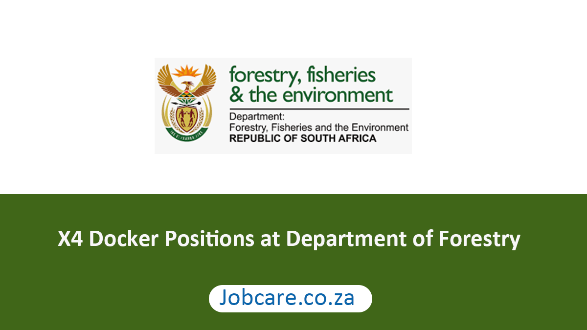 X4 Docker Positions at Department of Forestry
