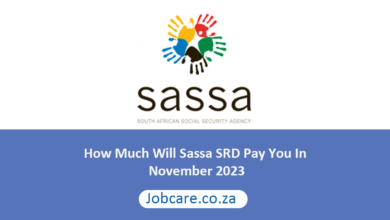 How Much Will Sassa SRD Pay You In November 2023