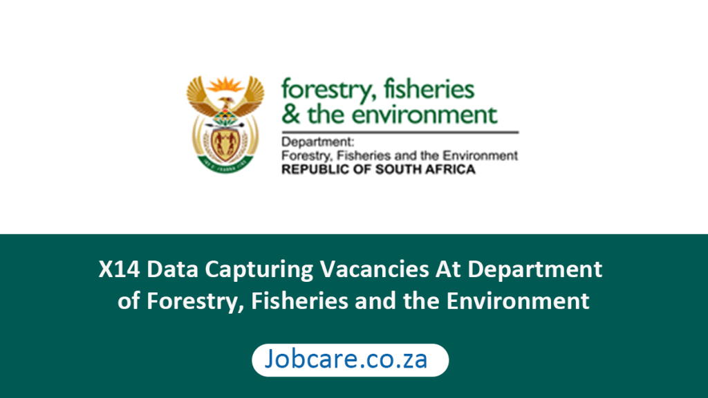 X14 Data Capturing Vacancies At Department of Forestry, Fisheries and