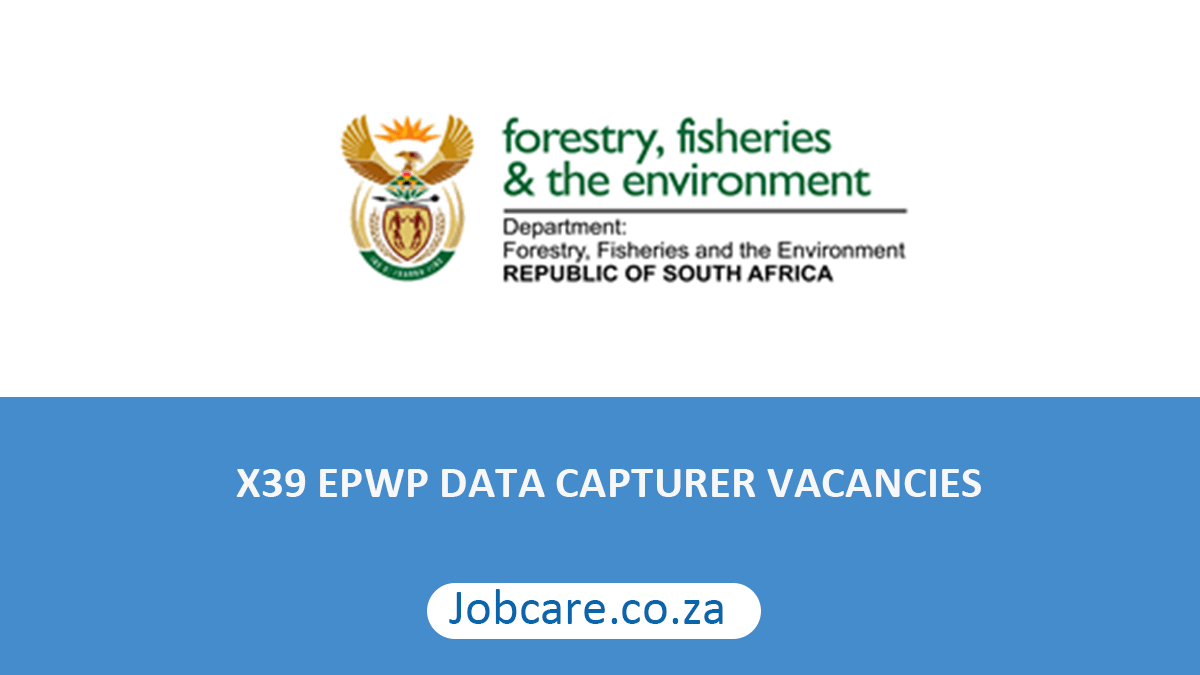 X39 EPWP DATA CAPTURER VACANCIES AT THE DEPARTMENT OF FORESTRY, FISHERIES AND THE ENVIRONMENT (DFFE)