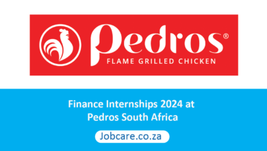 Finance Internships 2024 at Pedros South Africa