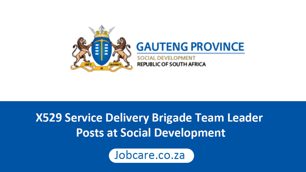 X529 Service Delivery Brigade Team Leader Posts at Social Development