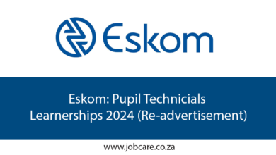 Eskom: Pupil Technicials Learnerships 2024 (Re-advertisement)