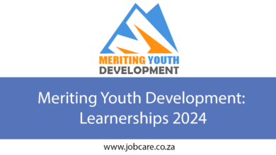 Meriting Youth Development: Learnerships 2024