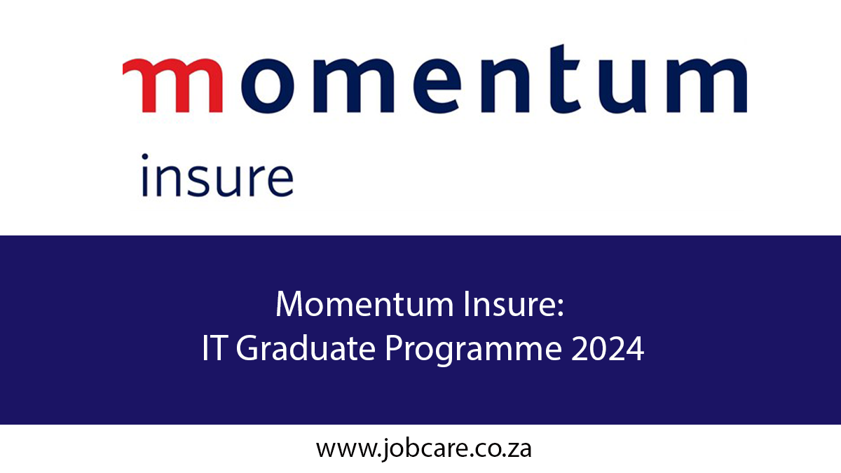 Momentum Insure: IT Graduate Programme 2024