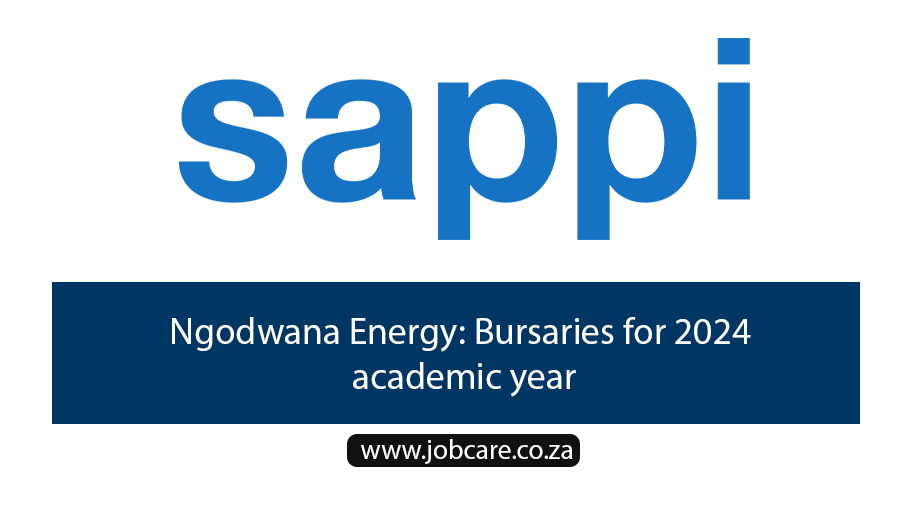 Ngodwana Energy: Bursaries for 2024 academic year