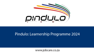 Pindulo: Learnership Programme 2024