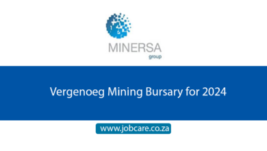Vergenoeg Mining Bursary for 2024