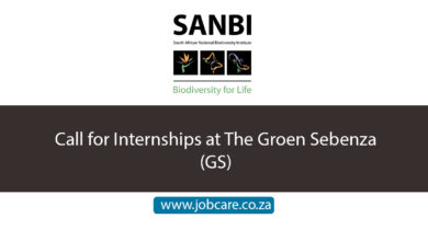Call for Internships at The Groen Sebenza (GS)