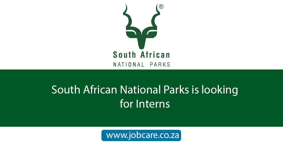 South African National Parks is looking for Interns