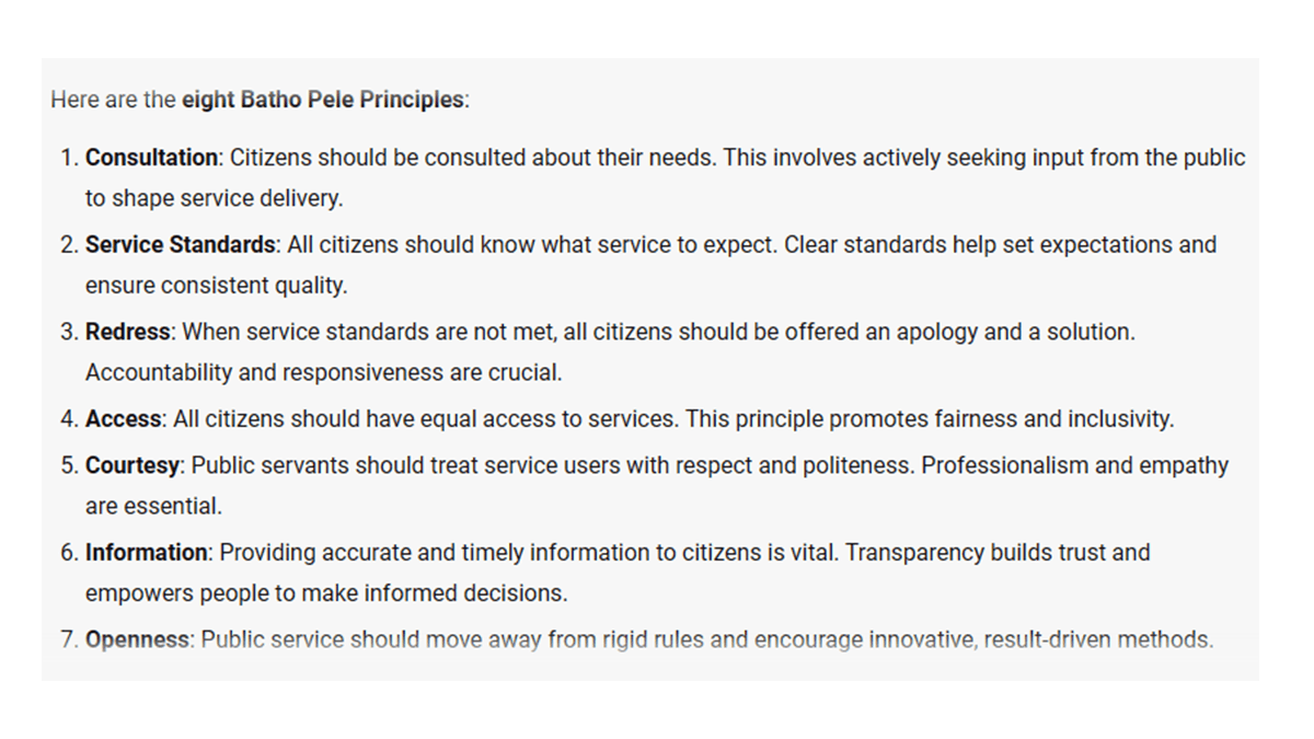 Batho Pele Principles, South African Government