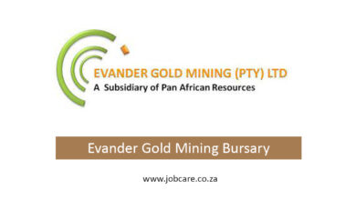 Evander Gold Mining Bursary Programme 2024