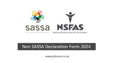 Non SASSA Declaration Form 2024