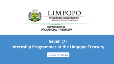 Seven (7) Internship Programmes at the Limpopo Treasury