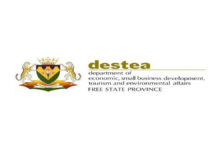 Free State DESTEA: Graduate Internships 2024