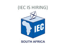 IEC Recruitment ( May 2024)