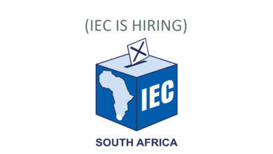 IEC Recruitment ( May 2024)