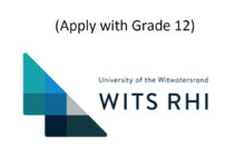 Join WITS RHI as Data Capturer (Apply with Grade 12)