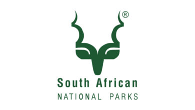 SANParks Recruitment May 2024: Find Open Jobs/Application Guide