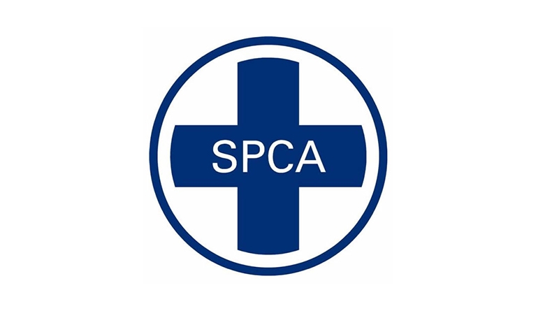 SPCA: Traineeship Programme 2024