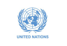 United Nations Vacancies (May 2024): Find Open Jobs/Application