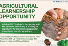 uMfolozi TVET College: Learnerships 2024