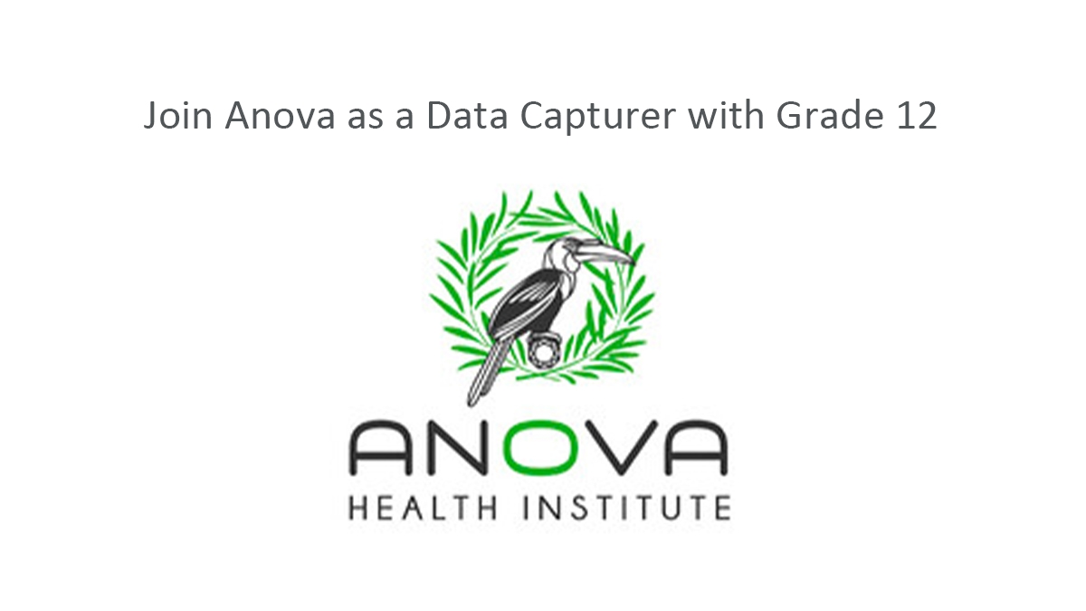 Join Anova as a Data Capturer with Grade 12
