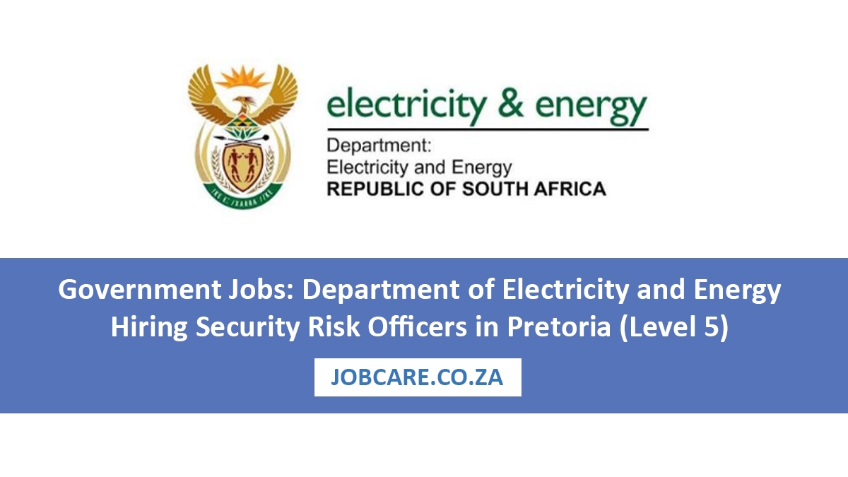 Government Jobs: Department of Electricity and Energy Hiring Security Risk Officers in Pretoria (Level 5)